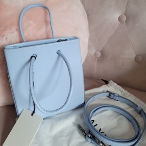 NWOT Aritzia Auxiliary Blue Mini Crossbody Bag